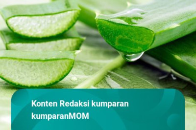 Manfaat Lidah Buaya untuk Kesehatan Rambut Keluarga