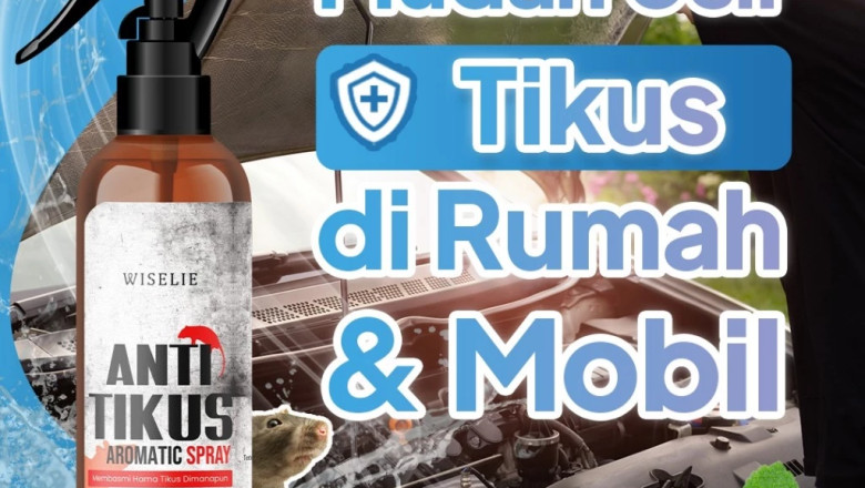 Jangan Gunakan Racun Tikus Jika Tidak Mau Rumah Bau Bangkai — Ini Solusinya!